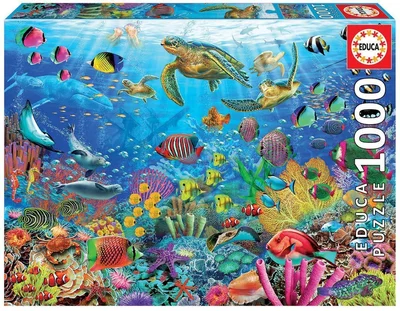 Tropical Fantasy Turtles