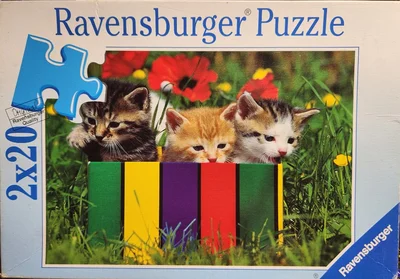 Kittens