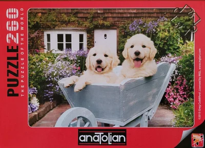 Puppies in a Wheelbarrow