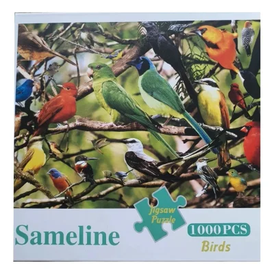 Birds