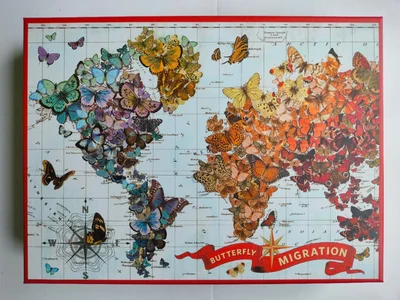 Butterfly Migration