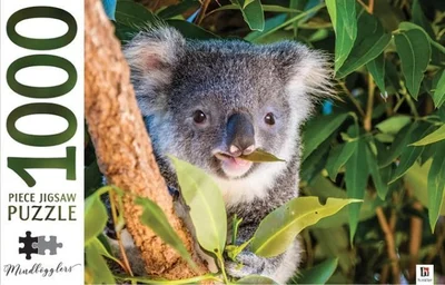 Koala, Australia