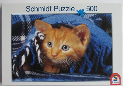 Kleine Katze