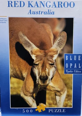 Red Kangaroo, Australia