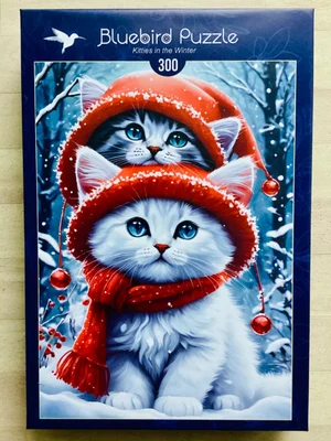 Kitties in the Winter