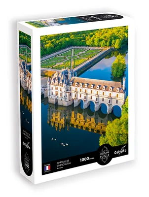 Château De Chenonceau - Touraine