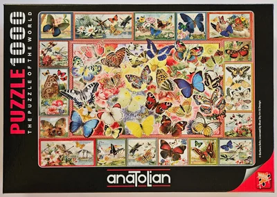 Lots of Butterflies