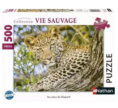 Les yeux du léopard