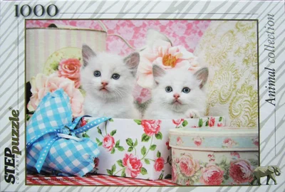 Котята