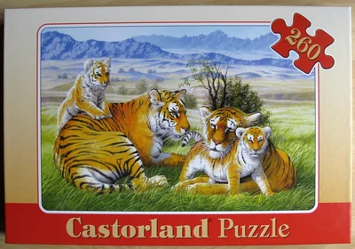Tiger Family