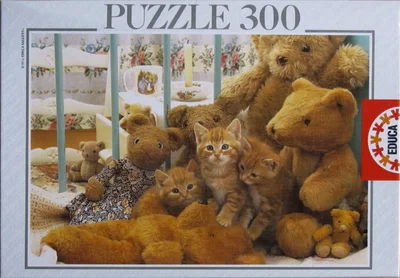 Kittens