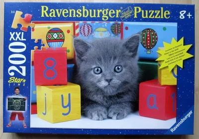 Grey Kitten