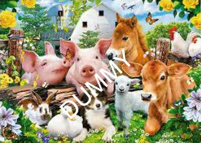 Farm Friends
