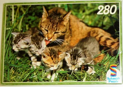 Katzenmutter