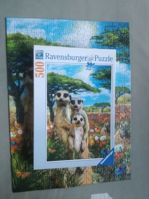 Mischievous Meerkats