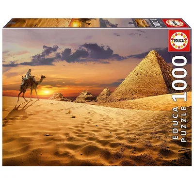 Camel In The Desert