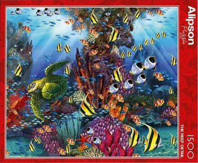 The Reef Detail