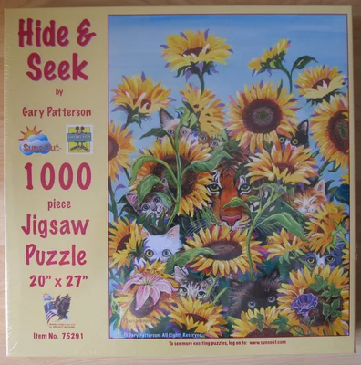 Hide & Seek