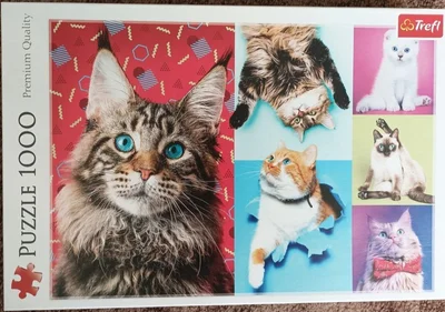 Happy Cats