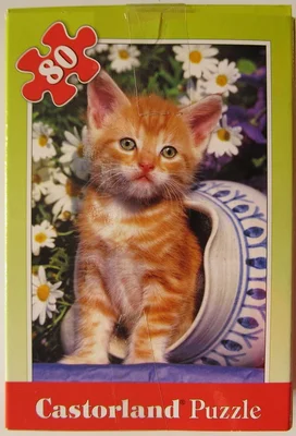 Orange Kitten with Vase