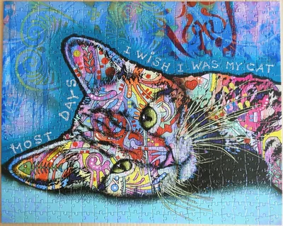 DR - Cat II