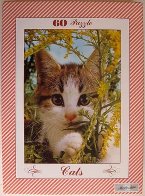Cats