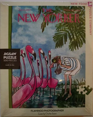Flamingo photographer