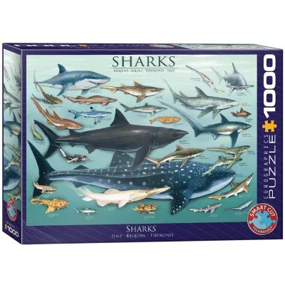 Sharks