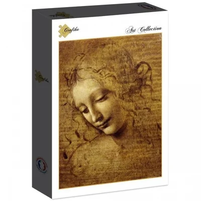 The Face of Giovane Fanciulla, 1508