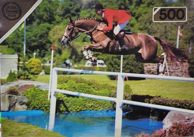 Show Jumper