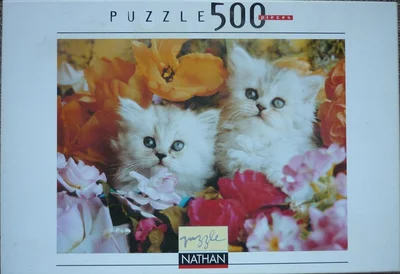 Chatons rêveurs
