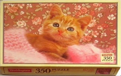 Kitten