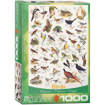 Birds