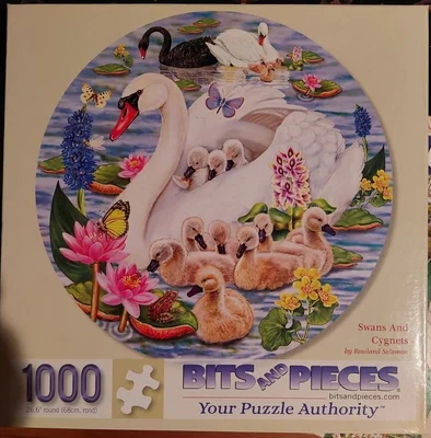 Swans and Cygnets
