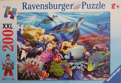 Ocean Turtles