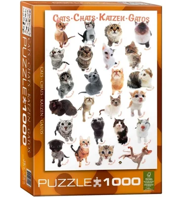 Cats