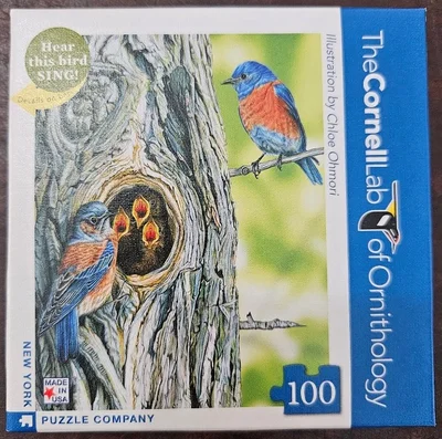 Western Bluebird