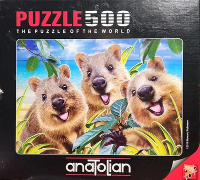 Quokka Selfie