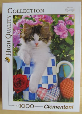 Tabby Cat