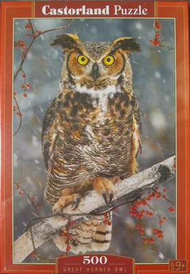 Great Horned Owl