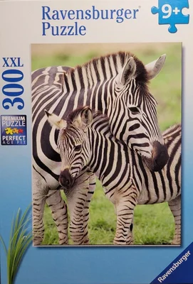 Zebra Love