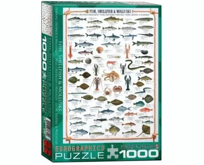 Fish Shellfish Mollusks