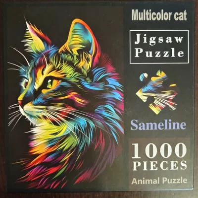 Multicolor cat