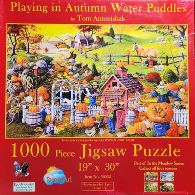 Playing in Autumn Water Puddles