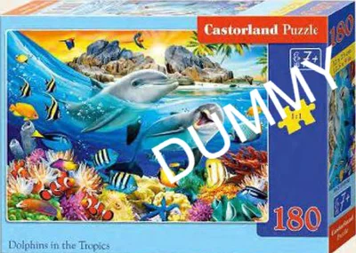 Dolphins in the Tropics