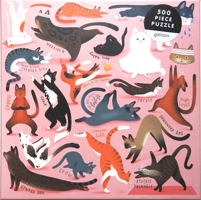Yoga for Cats