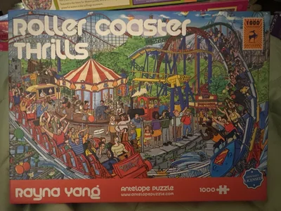 Roller Coaster Thrills