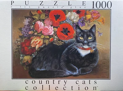 Poppy Cat