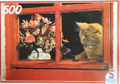 Tom - Cat's Window
