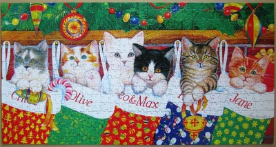 Stocking Kittens